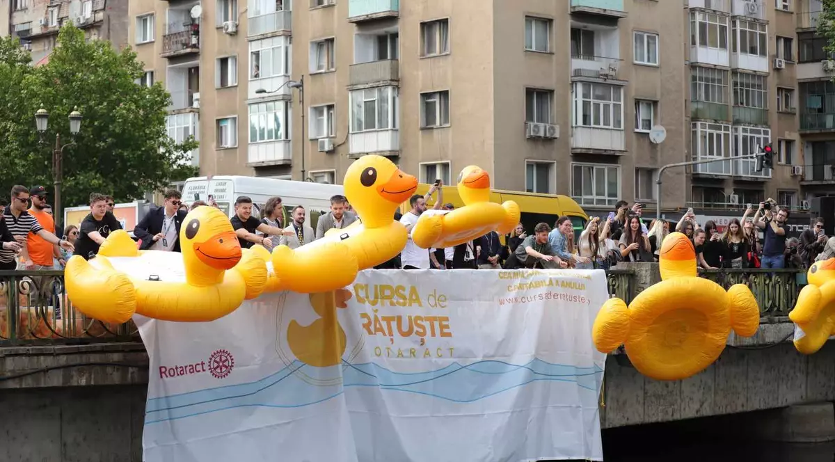 Cursa rățuștelor de cauciuc, pe râul Dâmbovița. Acțiunea caritabilă în Capitală, pentru copiii cu deficiențe de auz