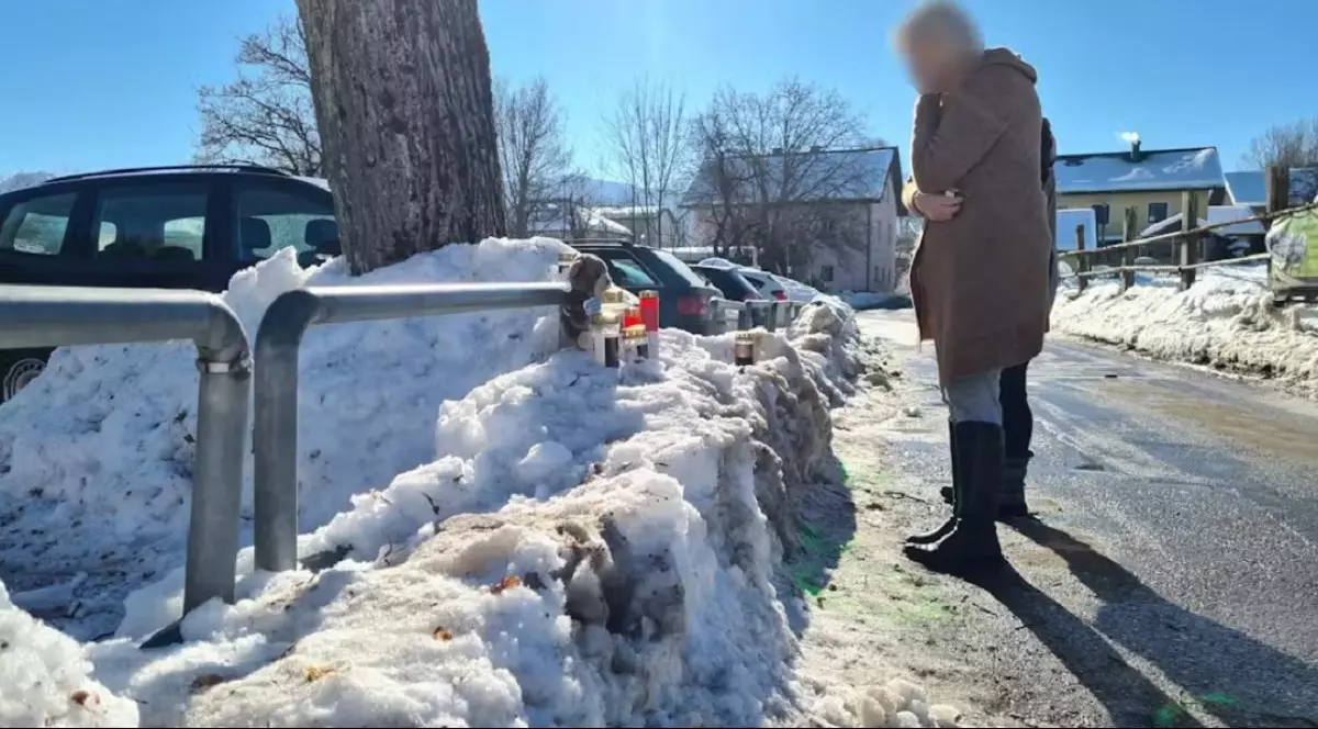 Româncă închisă pe viață, după ce a intrat intenționat cu mașina într-un băiețel de 5 ani și în mama lui, tot româncă, și i-a ucis, în Austria