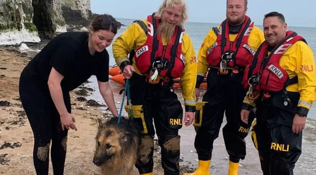 „Doginson Crusoe”. Un ciobănesc german a fost salvat după ce a înotat peste 6 kilometri în Marea Nordului