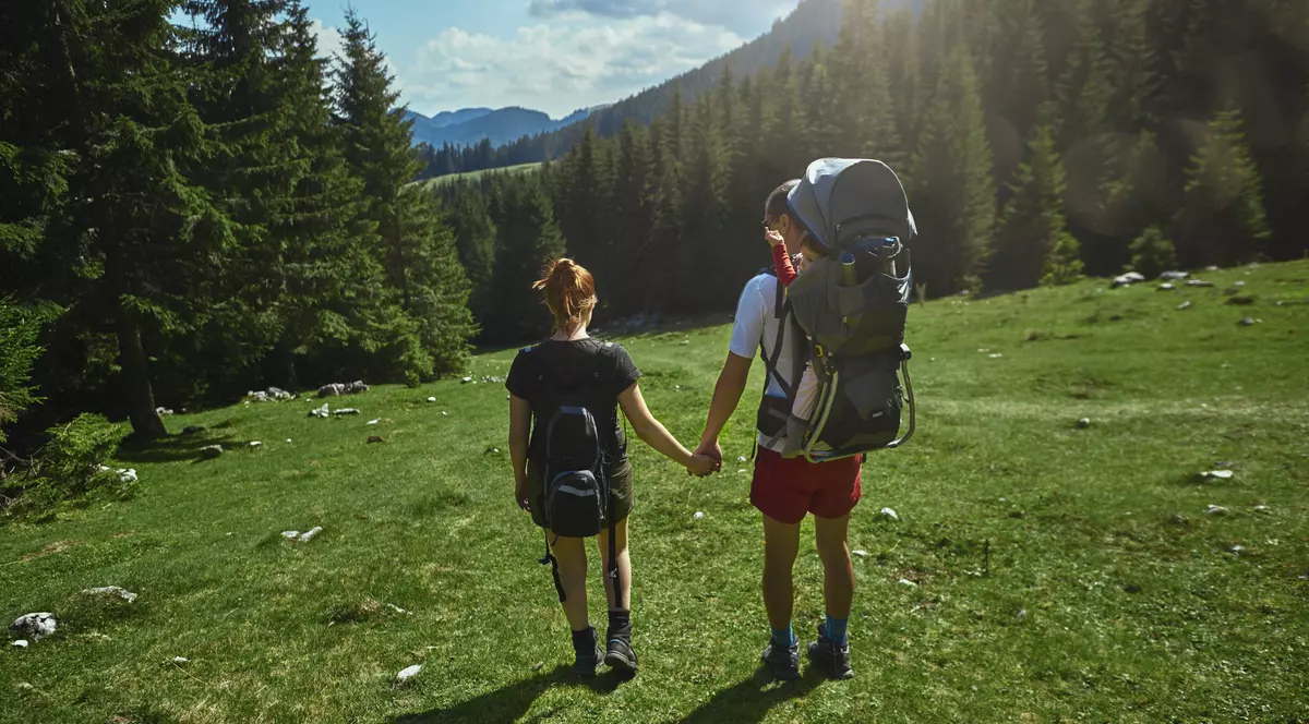 (P) Cum pot fi învinse mafia pădurilor și mafia gunoaielor