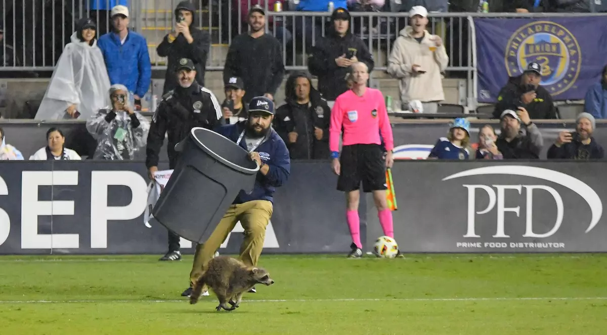 Un raton pătruns pe teren la un meci de fotbal din SUA a fost alergat și prins de angajați cu ajutorul unui coș de gunoi | VIDEO