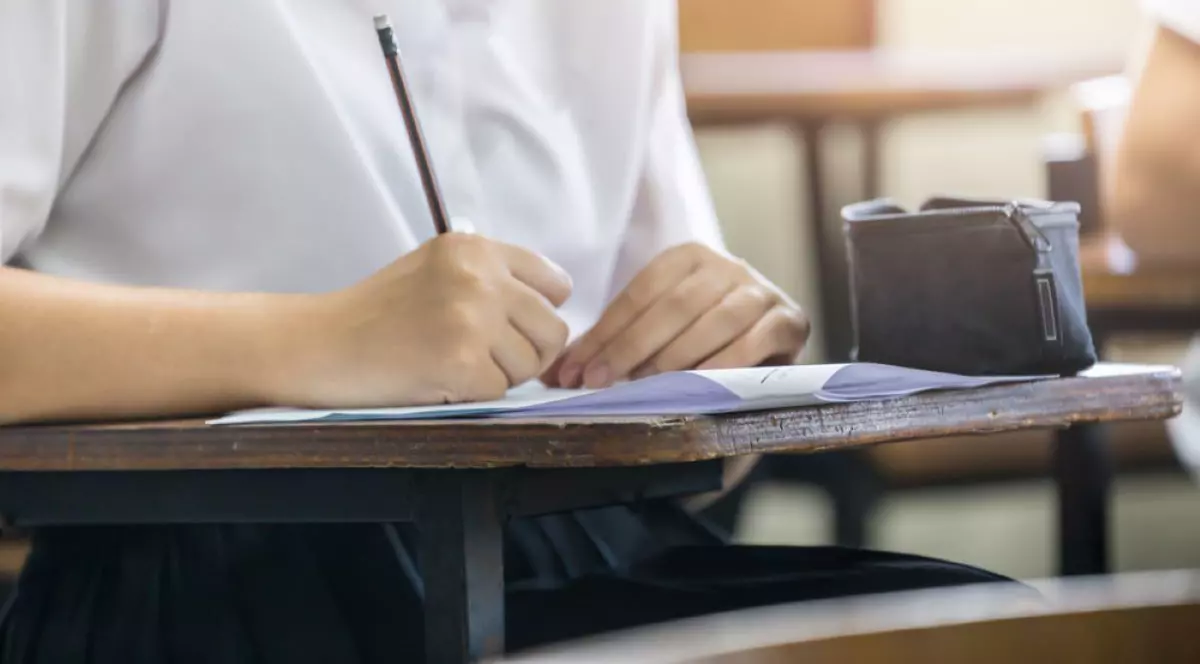 Rezolvare subiecte la Română la Evaluare Națională 2024