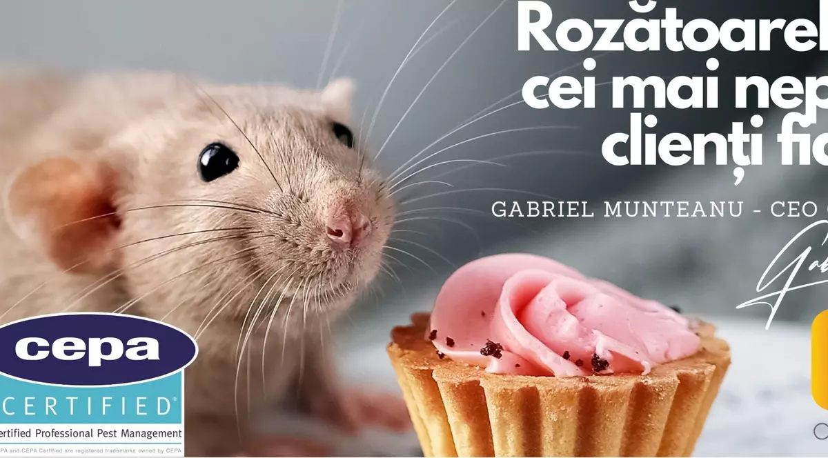 Asigurați-vă Afacerea cu Serviciile Profesionale de Dezinsecție și Deratizare acreditate la nivel European. Soluții Inovatoare pentru un Mediu Sigur și Igienic