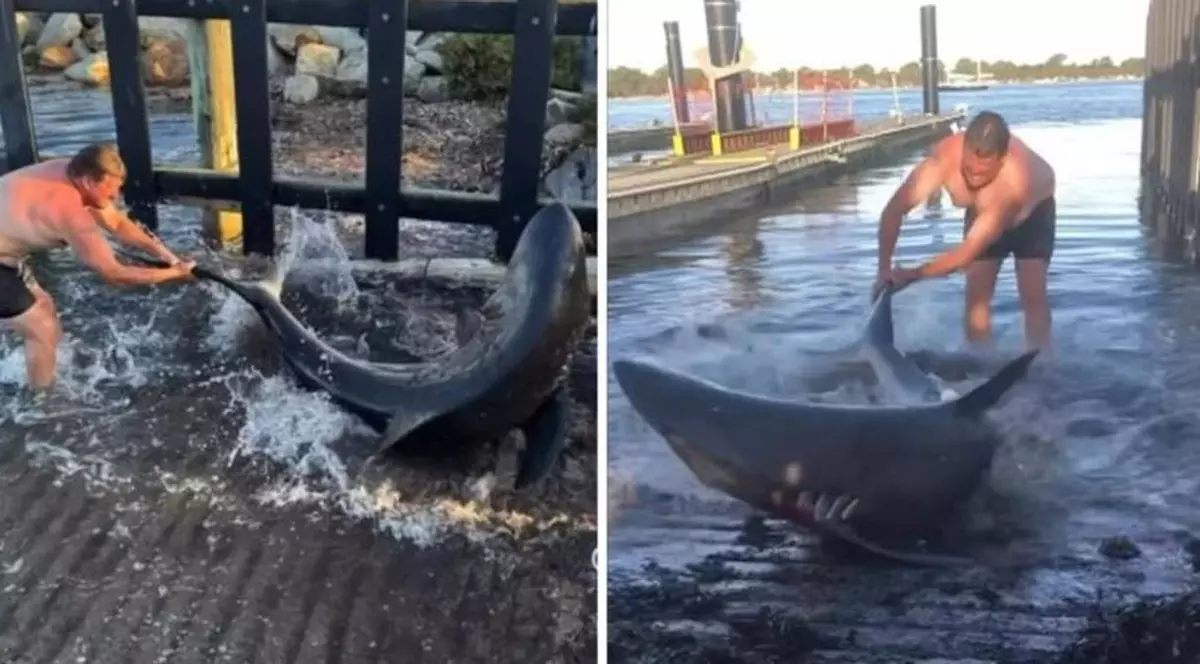 „Aquaman” din Australia. Un bărbat a salvat cu mâinile goale un rechin care se prinsese în firele undițelor sale | VIDEO
