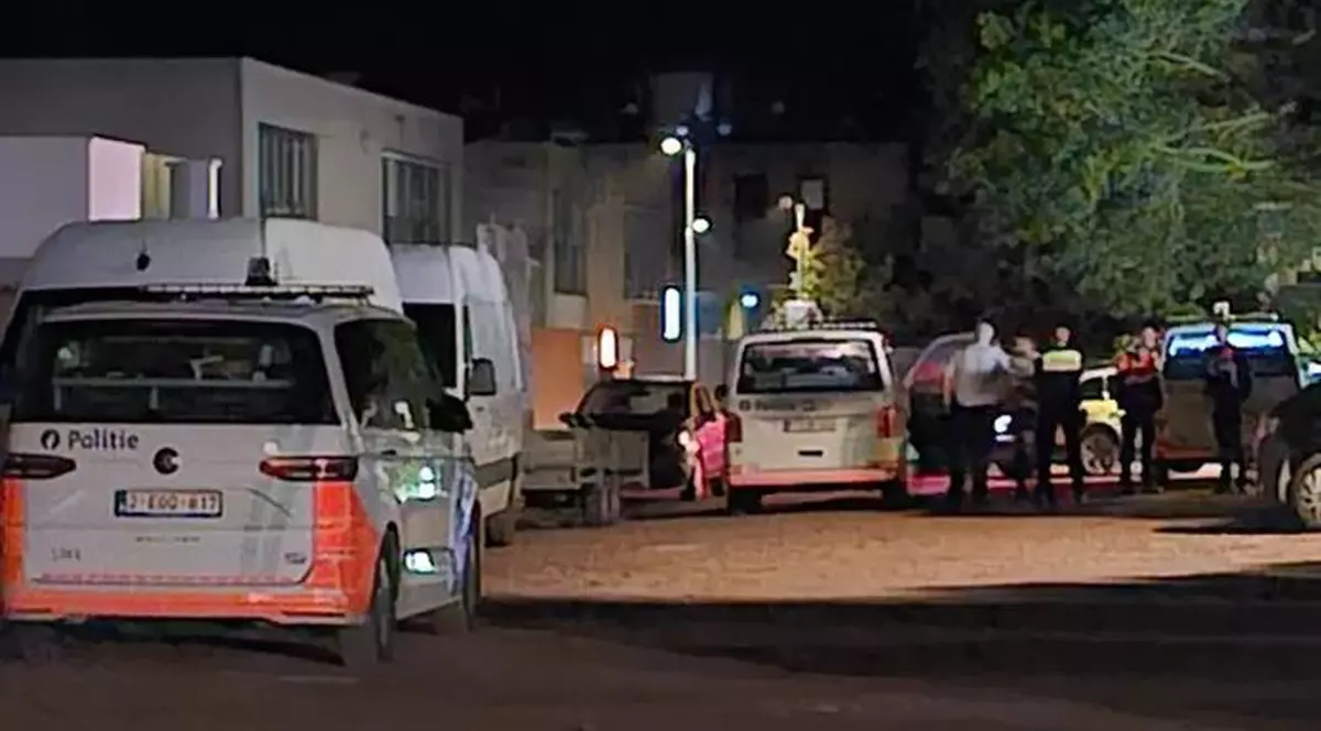 Un suporter român acuză că a fost tăiat cu o macetă de fani belgieni, după meciul Belgia-România. Cinci persoane arestate