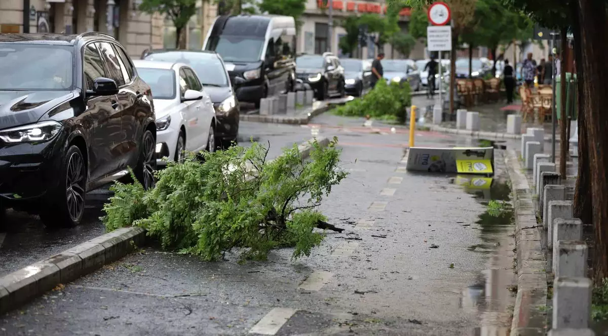 Ploaie torențială și grindină în București: zeci de copaci căzuți și surpare în carosabil pe o stradă. Pompierii au intervenit în mai multe zone