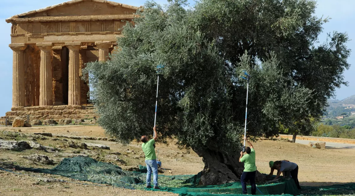 O localitate din Italia, considerată un paradis turistic, nevoită să refuze turiștii pentru că nu le poate garanta că pot trage apa la toaletă