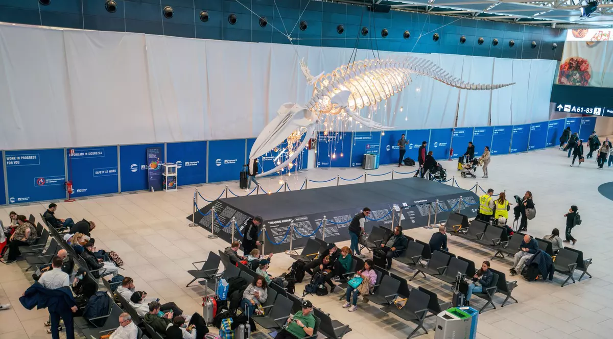 Român dat dispărut în Aeroportul Fiumicino din Italia. Detaliul care îngreunează căutările