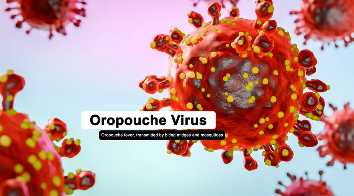 Ce este virusul Oropouche