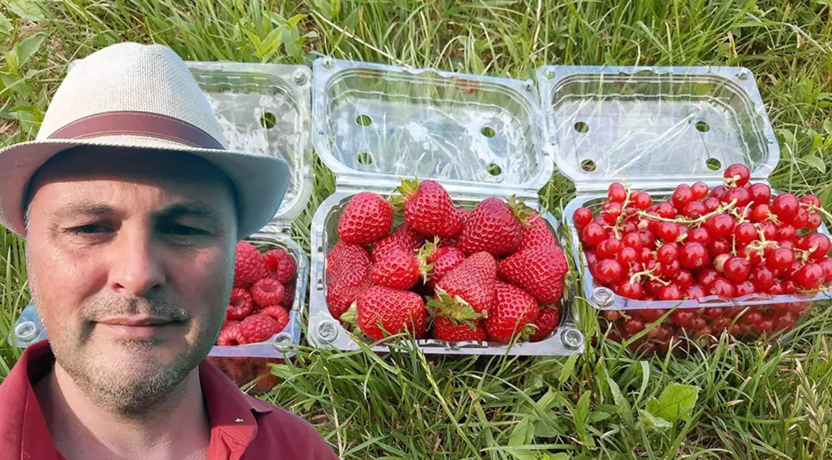 Alin Aignătoaei, tânărul care a renunțat la multinațională pentru agricultură. E celebru în Iași pentru căpșunele sale: „Profitul lunar? Un salariu mediu pe economie”