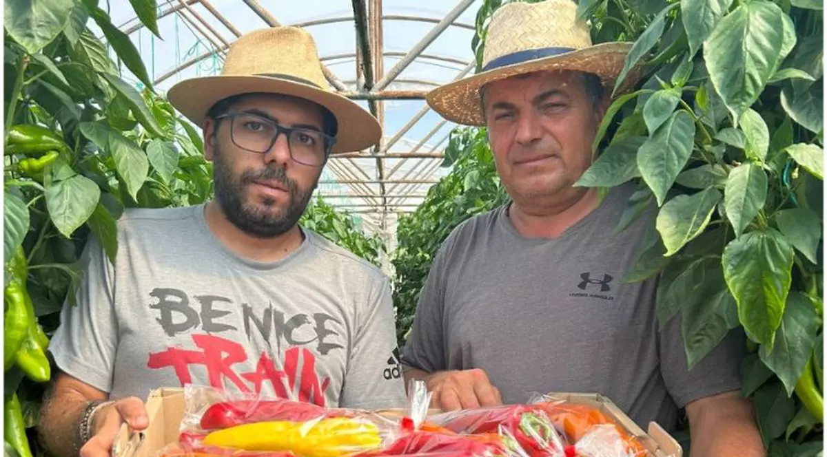 Povești cu Gusturi românești: Ferma din Fierbinți, Ialomița, care va pune pe mesele românilor ardeiul în trei culori