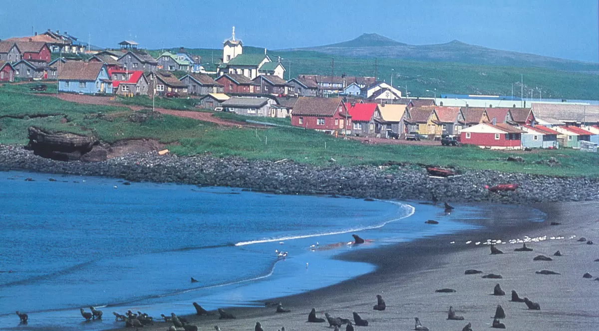 Un șobolan care s-ar putea să nici nu existe e căutat cu lumini negre și unt de arahide de locuitorii unei insule din Alaska