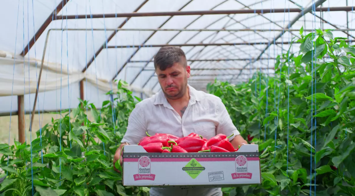 Povești cu gusturi românești: Alin Răducu, agricultorul vizionar care s-a ambiționat să ofere verdețuri tot anul