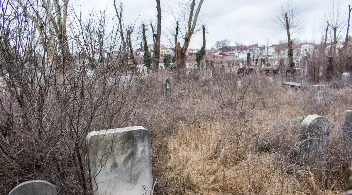 Peste 260 de schelete umane, găsite pe șantierul viitorului spital din Vaslui. „Este vorba de un cimitir”