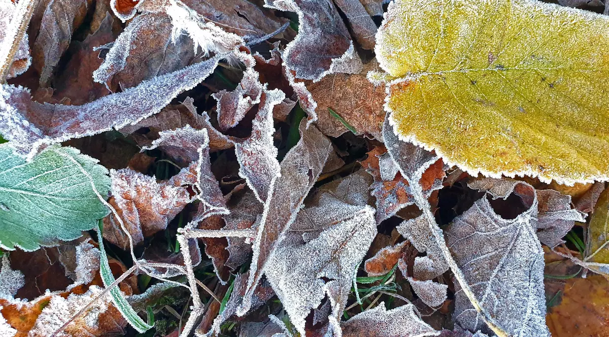 Temperatură sub zero grade la Miercurea-Ciuc, duminică dimineață. A fost cea mai scăzută din țară