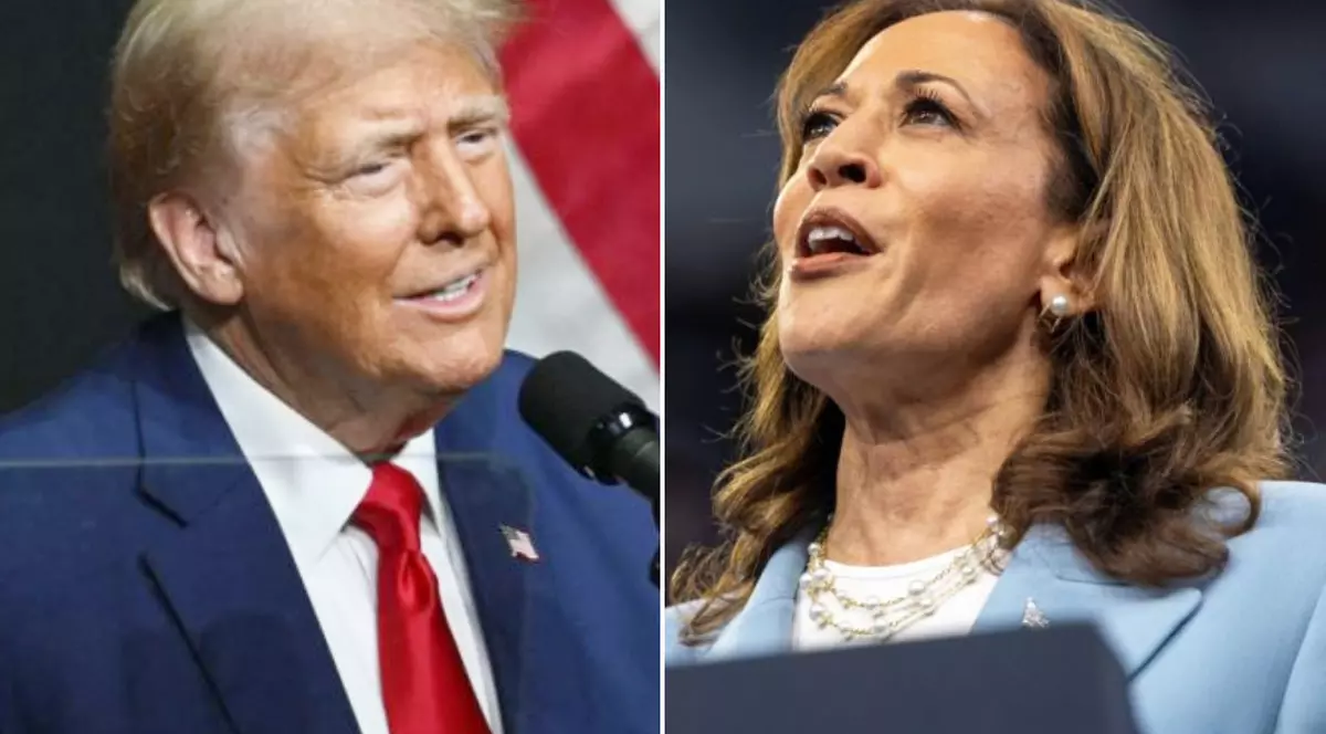 Colaj cu Donald Trump și Kamala Harris Foto: Hepta