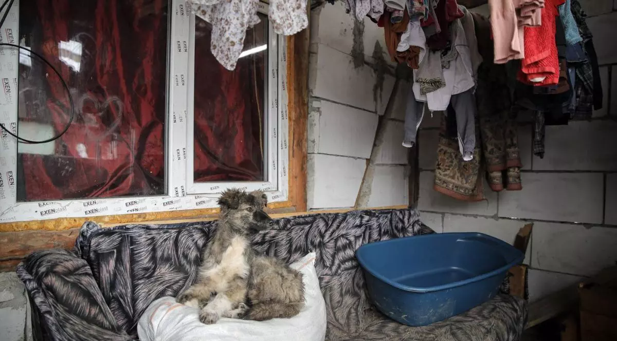 Aproape 40% din adolescenți lipsesc de la şcoală, ca să muncească în gospodărie. Raport îngrijorător al World Vision România