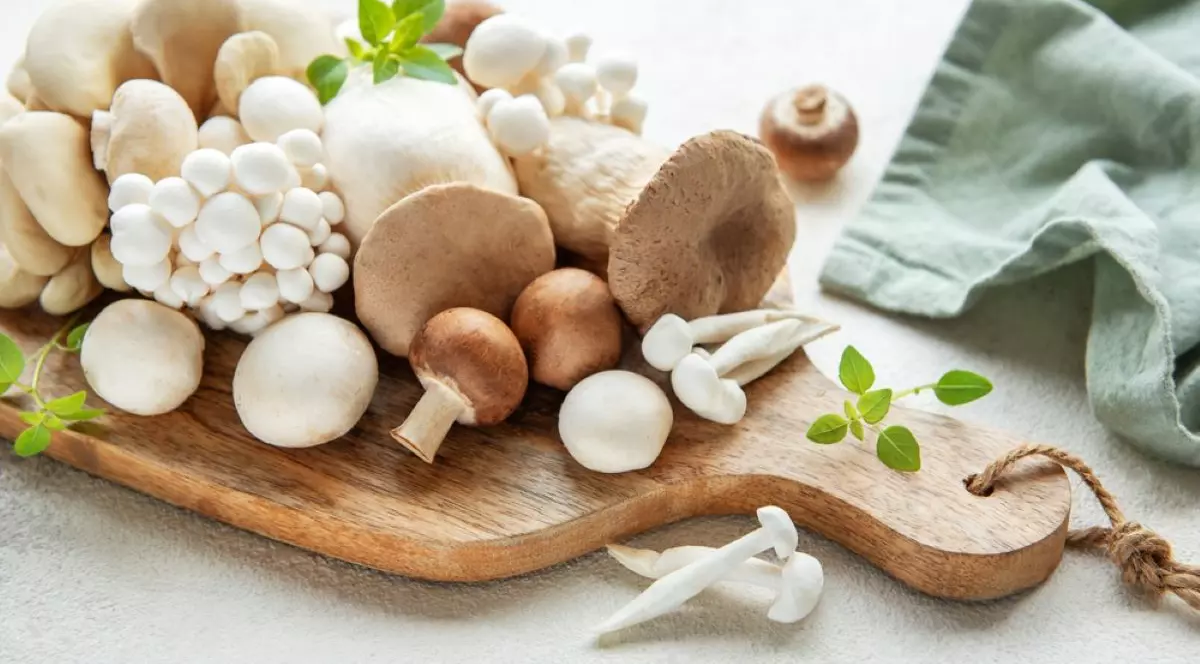 Ce greşeli să nu faci când găteşti ciuperci