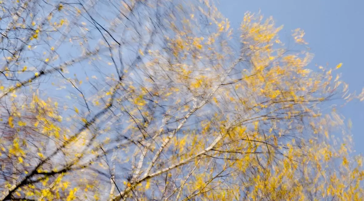 Prognoza meteo pentru următoarele patru săptămâni. Vreme mai rece decât normalul perioadei, urmată de vreme prea caldă