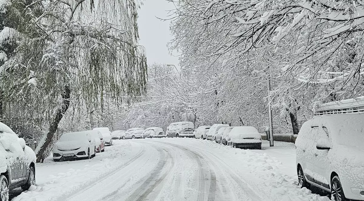 Elena Mateescu, șefa ANM, despre episodul de iarnă care lovește România: „De joi, se va răci semnificativ”