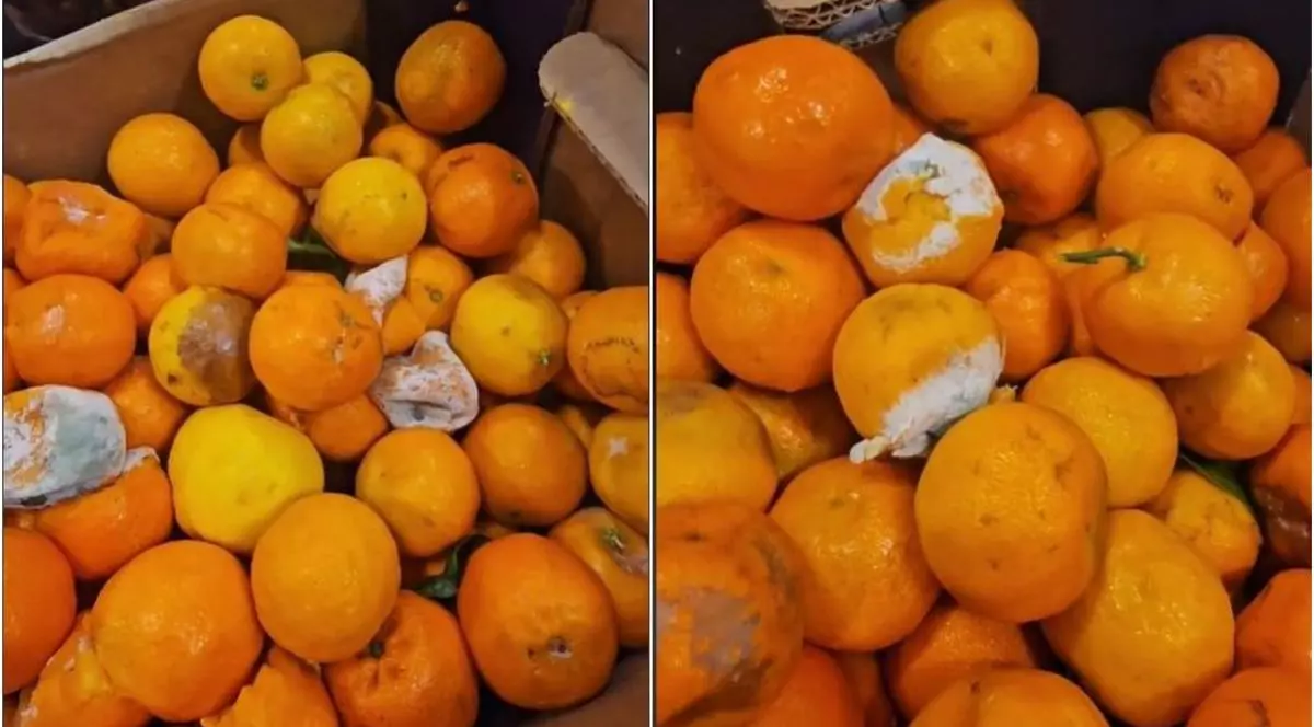 Kaufland vinde clementine cu 50 de bani kilogramul, 89% reducere: „Nu cred că poate alege cineva ceva”
