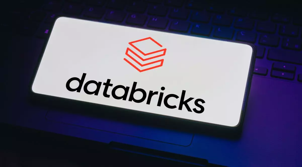 Databricks, compania fondată de doi români în America, a atins o valoare de 62 de miliarde de dolari, după ce a strâns 10 miliarde de dolari într-o rundă de finanțare
