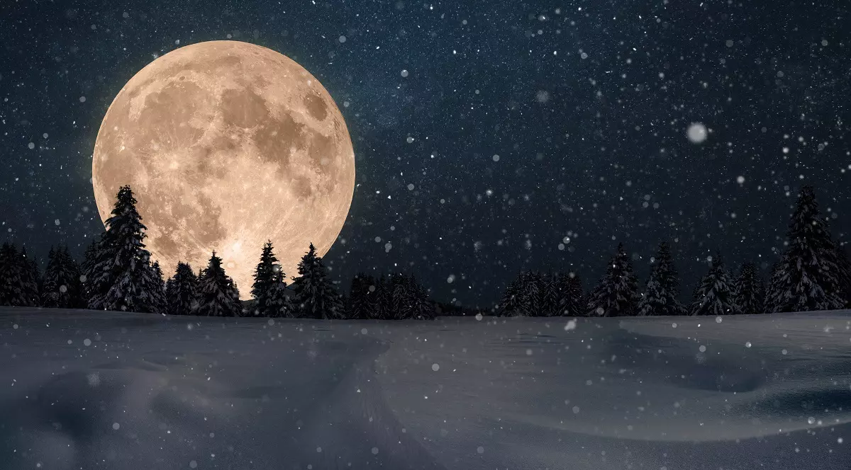 Imagine panoramica cu o luna plina într-o pădure de brazi acoperită de zăpadă