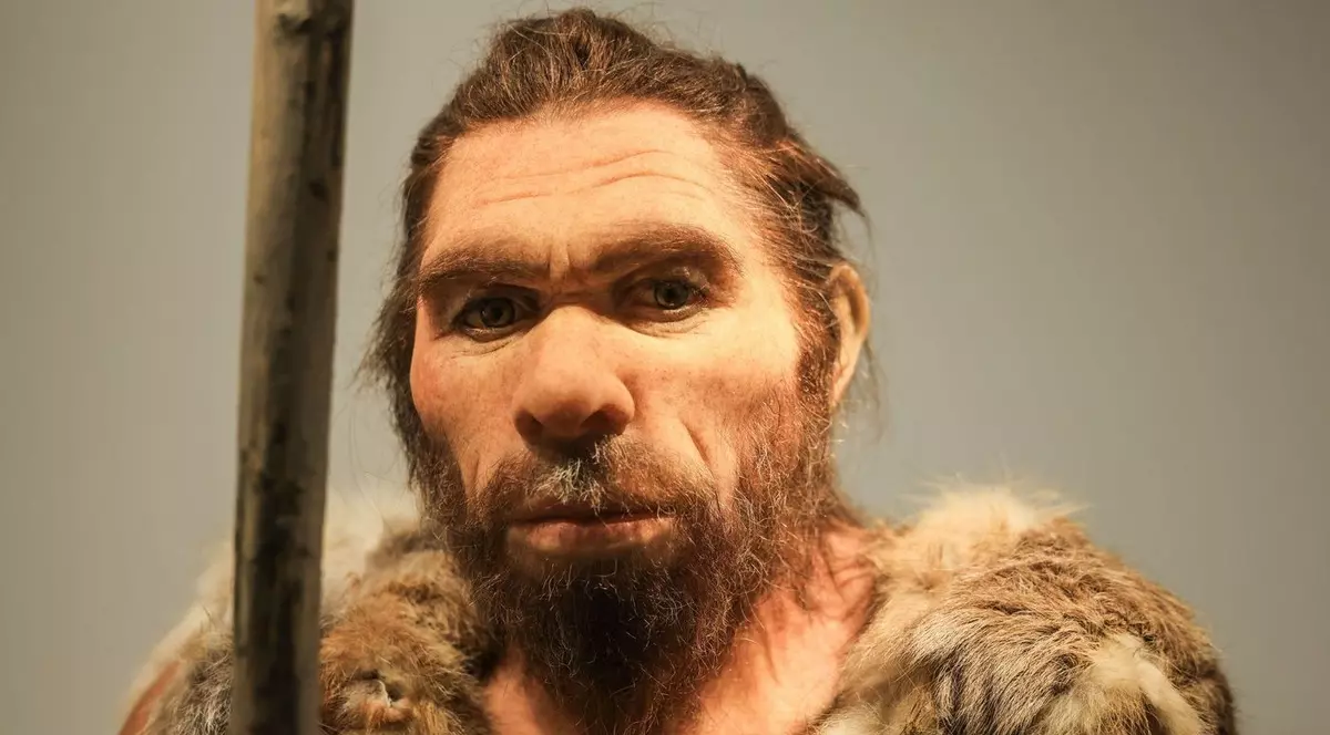 O replică a omului de Neanderthal poate fi văzută în LVR-LandesMuseum Bonn