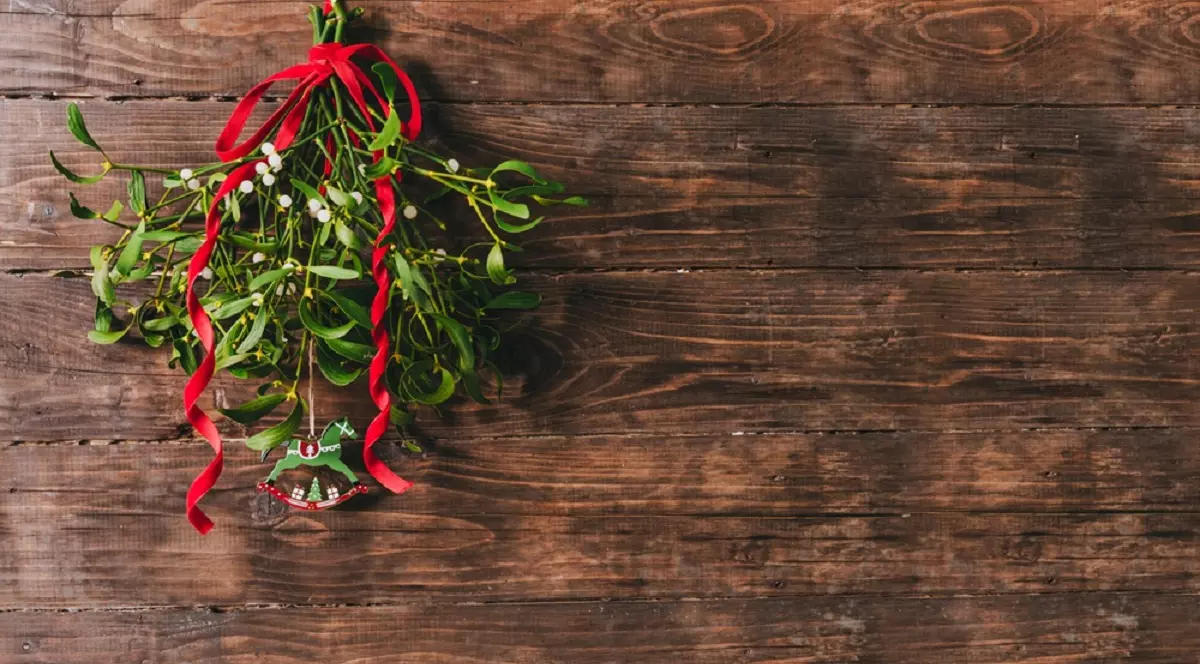 Vâsc de Crăciun - Ce simbolizează sărutul sub vâsc