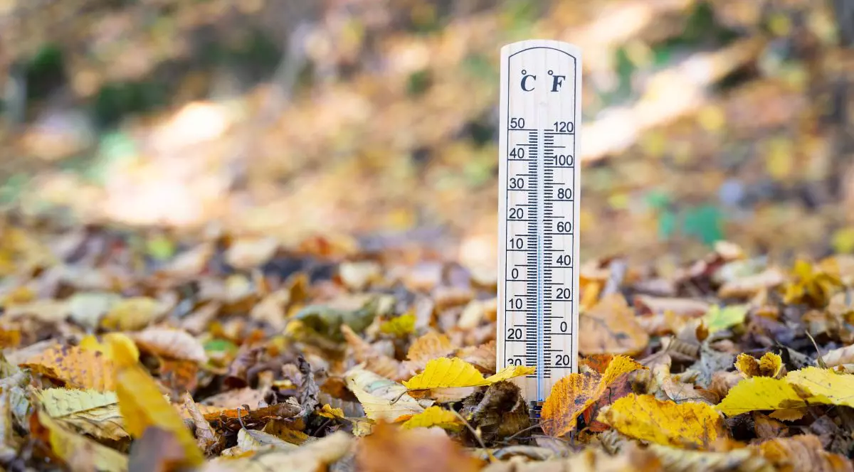 Termometru printre frunze ruginii, căzute pe pământ, care arată că vremea se răcește
