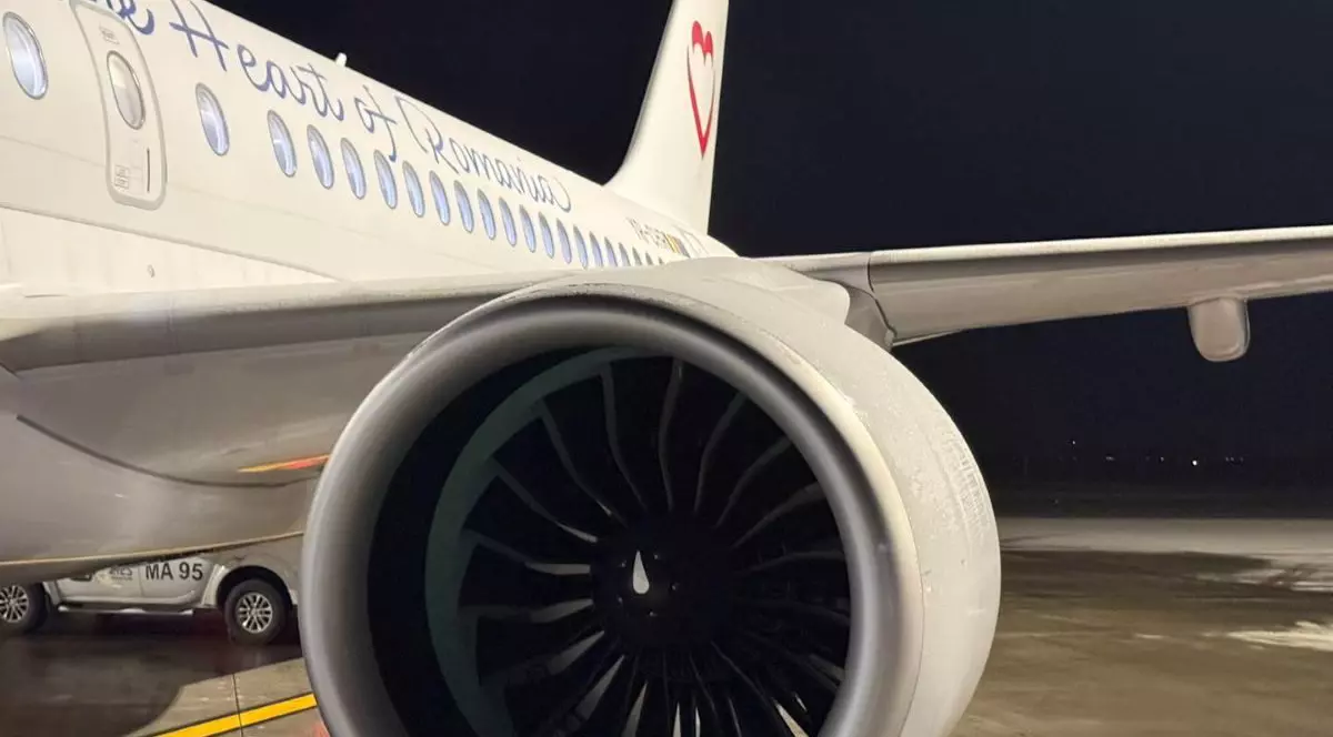 Avioan al companiei AnimaWings