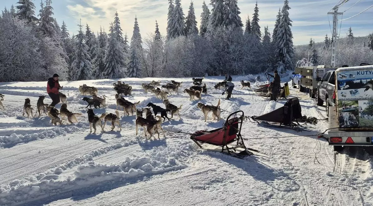 excursie-husky-harghita