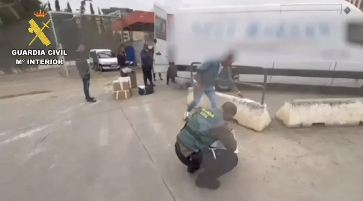 Patru români au jefuit 11 ferme de porci în Spania, din care au furat sute de fiole de antibiotic veterinar în valoare de zeci de mii de euro