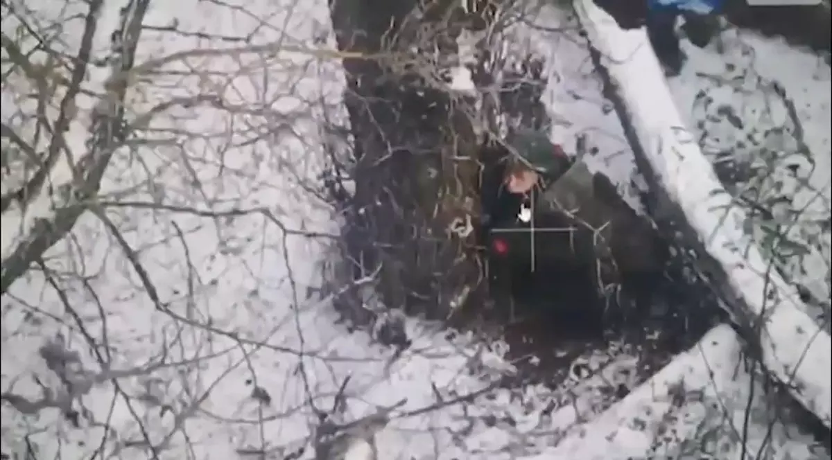 Soldat nord-coreean care se ascunde în spatele unui copac.