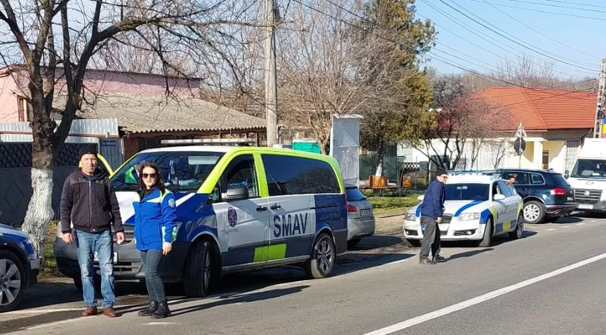 Primăria din Oancea, județul Galați, plătește aproape 20.000 de euro pentru prinderea câinilor fără stăpân: „Prea de tot, pe praful ăsta!”