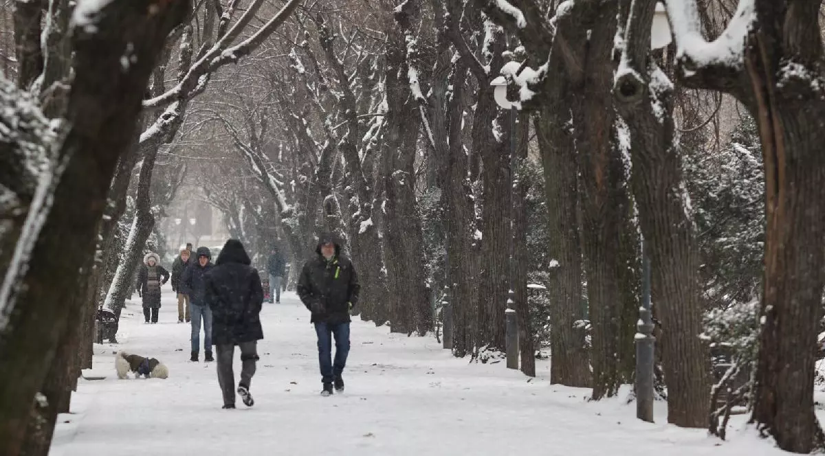 mai mulți oameni se plimbă în parc, în Bucuresti, 16 februarie, aleea este acoperită de zăpadă
