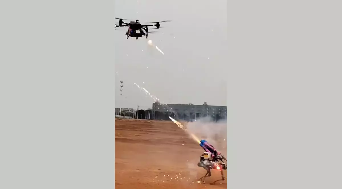 O dornă și un câine robot se luptă cu artificii pe un câmp din China.