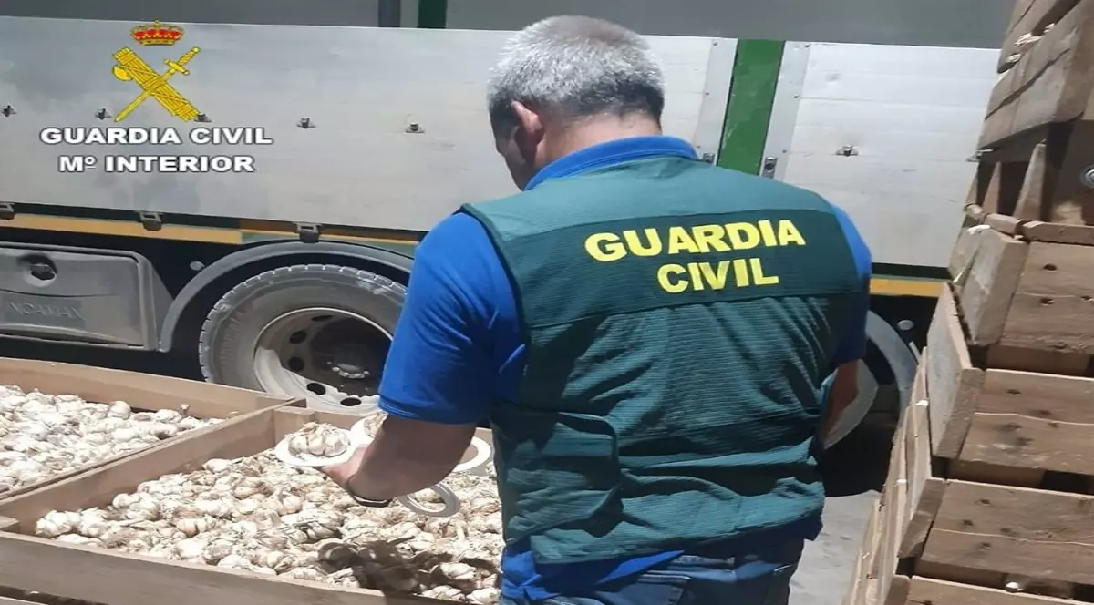 Garda Civilă, forță de poliție militarizată din Spania