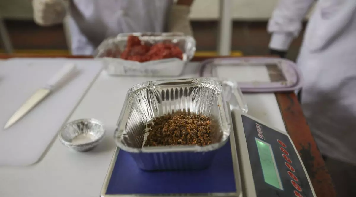 Verificarea informațiilor: sunt europenii forțați să consume insecte periculoase?