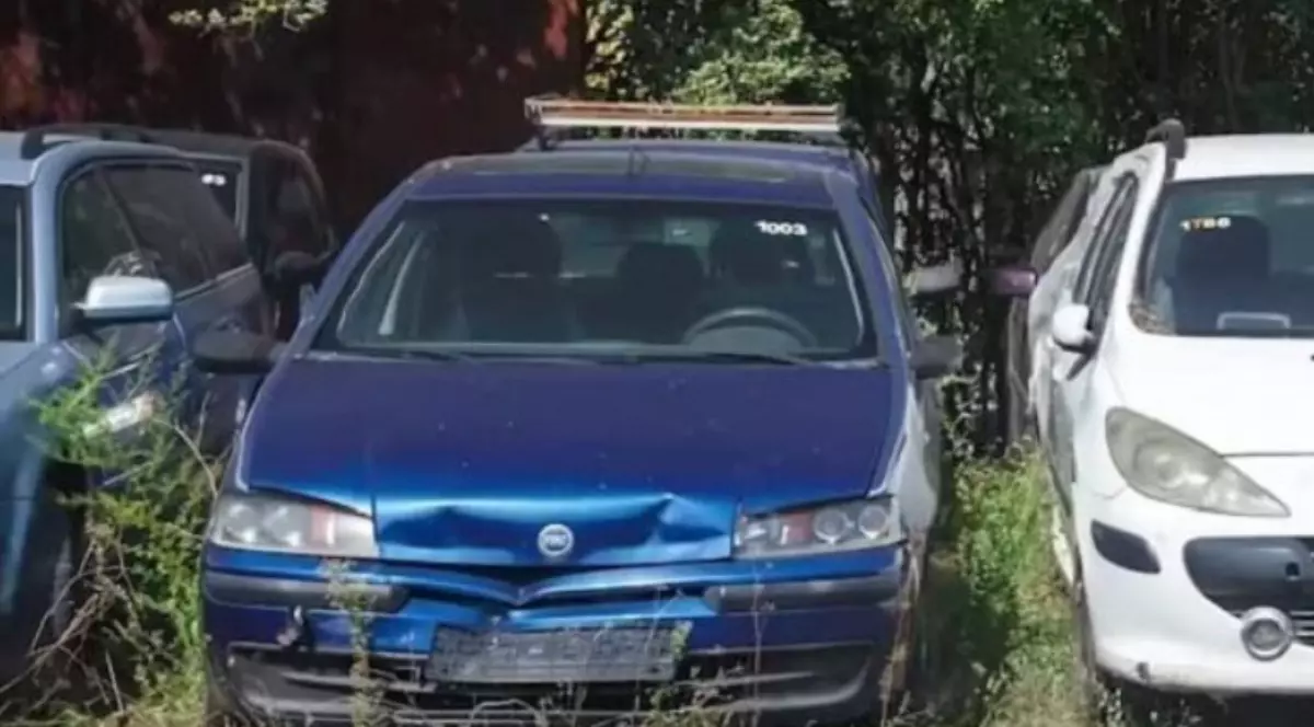 În imagine sunt ilustrate mașini abandonate