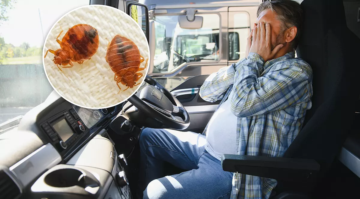 Sofer de TIR infestat cu plosnite în cabina camionului