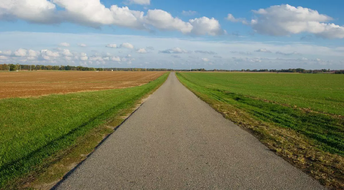 Un drum ăn mijloocul unui câmp deschis