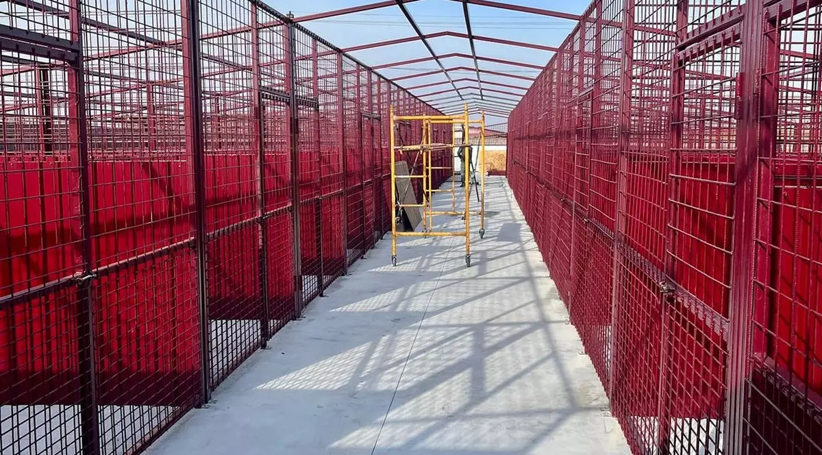 Adapostul pentru cainii vagabonzi de la Mihailesti