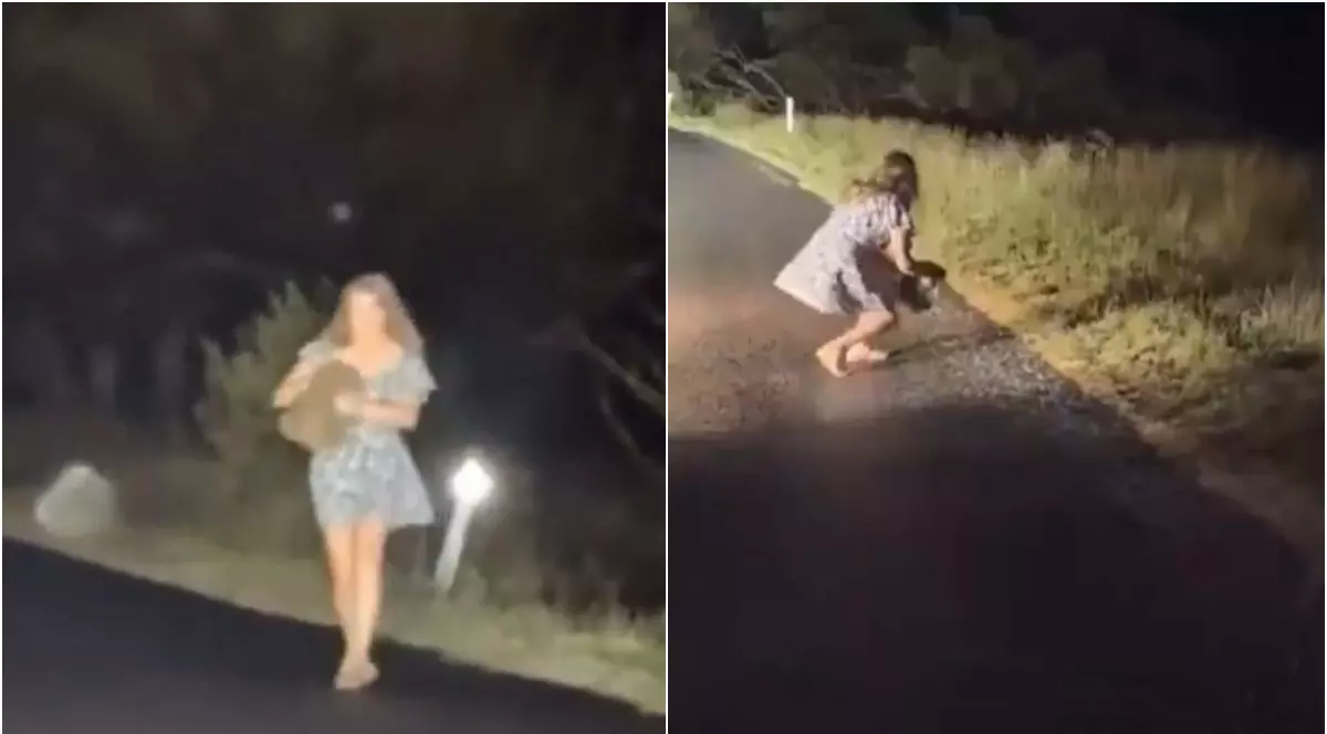 colaj foto cu o femeie care prinde un pui de wombat sălbatic