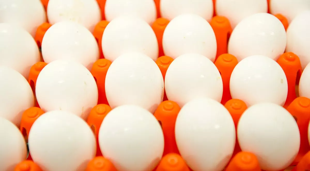 Poză cu un carton cu ouă.