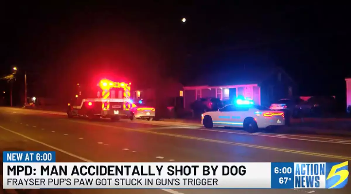 Un câine și-a împușcat stăpânul: „Oreo a sărit în pat”