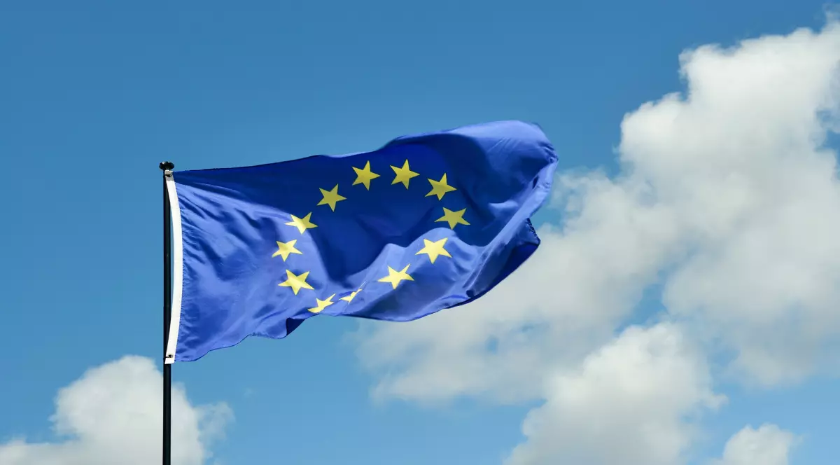 steag Uniunea Europeană