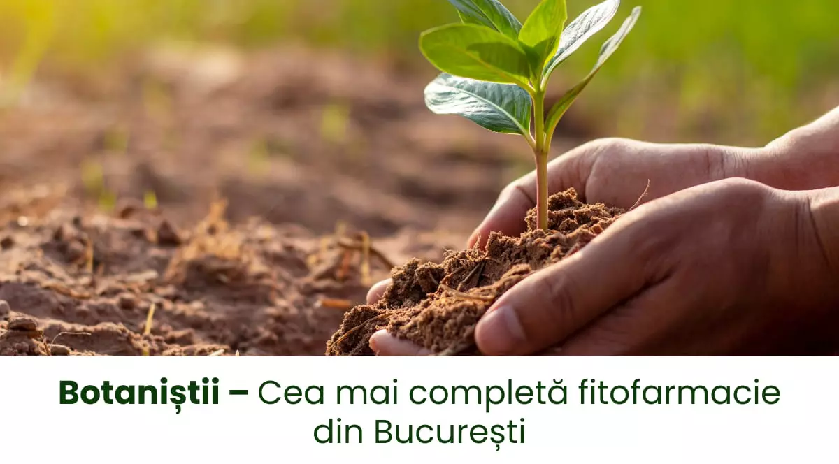 Botaniștii – Cea mai completă fitofarmacie din București