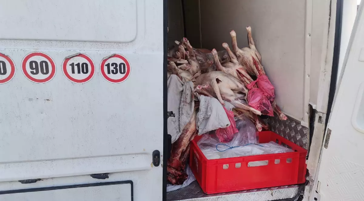 o mașină albă, o ladă roșie și carne de miel