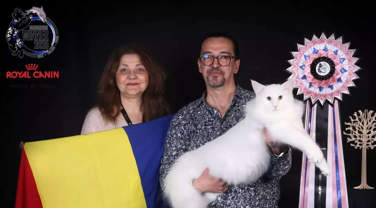 În imagine este ilustrată o femeie care ține drapelul României în mână, iar în dreapta este un bărbat care ține un motan alb în brațe